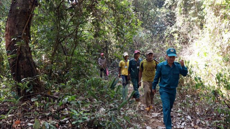Đắk Nông pazao đoọng lâh 11.500 héc ta crâng ha đhanuôr k’đhơợng lêy, zư lêy