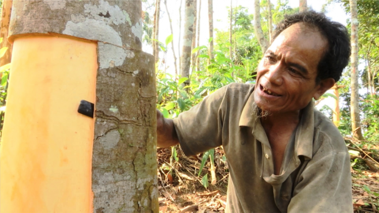 Bhrợ pa dưr Văn phòng điều phối xa nay bh’rợ k’tiếc k’ruung pa dưr pa xớc pr’ắt tr’mung k’coong ch’ngai