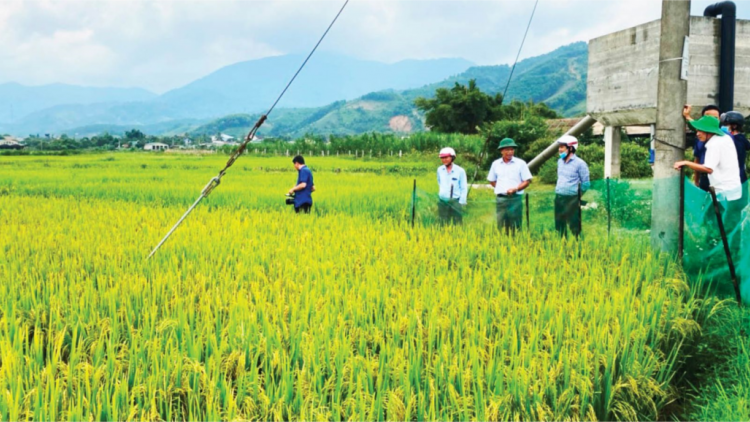 Thừa Thiên Huế: Xooh pay pa đâh ha roo cha noọng c’lọt, g’đech boo tuh