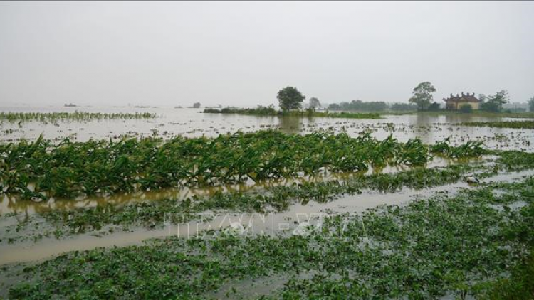 Miền Trung- Tây Nguyên đơơh loon zâl g’đéch boo ngân