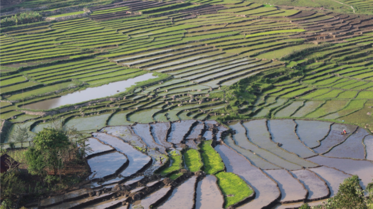Đha nuôr zr’lụ da ding ca coong Tây Giang- Quảng Nam tơơp choh bêêt hân noo bhrợ têng ha ot ha pruôt