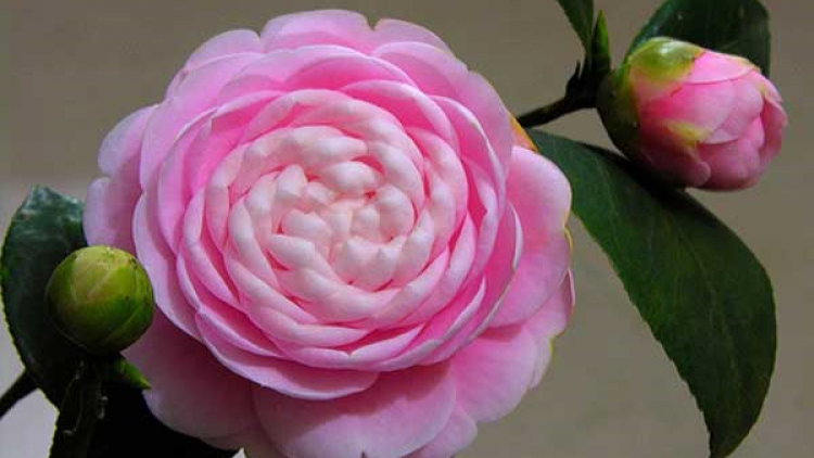 T’RUIH T’NGAY 19/4/2022