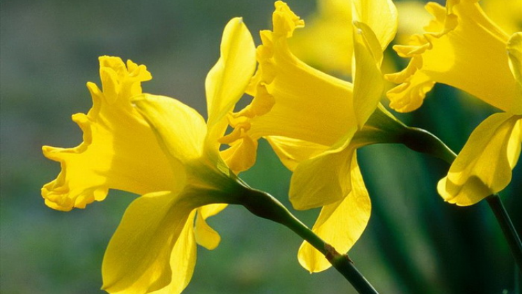 T’RUIH T’NGAY 24/4/2022