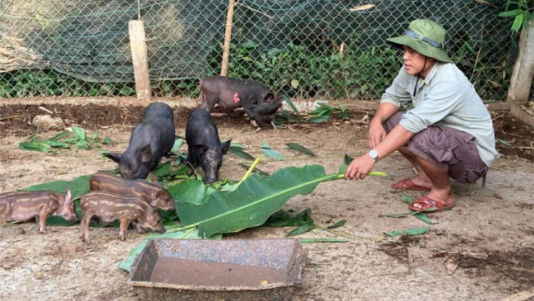 Quảng Nam: Pay đoọng lâh 9.000 tỷ đồng zooi đhanuôr pa xiêr đha rựt