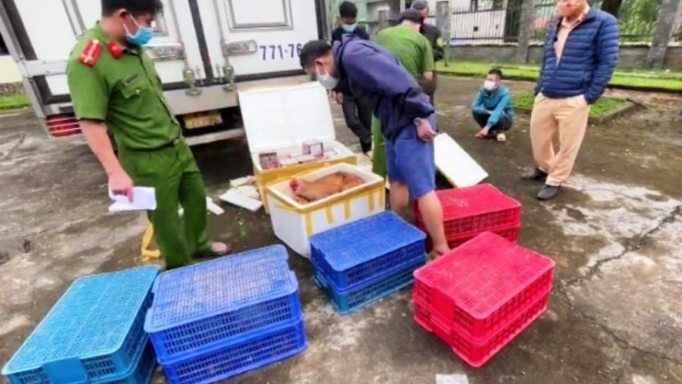 Coop zư 2 bêệ xe ô tô chở đơơng pháo pr’toh lâng a đhăh