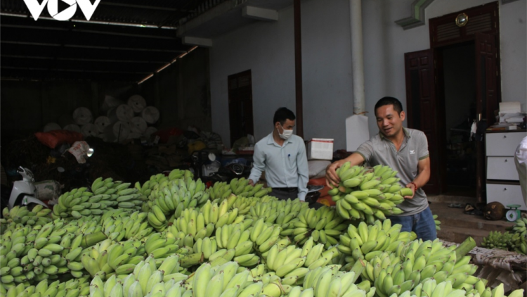 N’leh rau liêm choom lâng tơơm prí tây đhị Sơn La