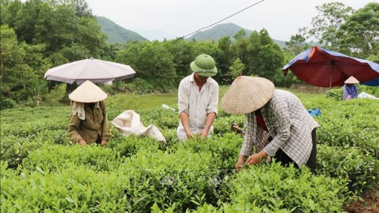 Đhanuôr t’bhlâng zi lấh zr’nắh k’đhạp bhrợ cha k’van