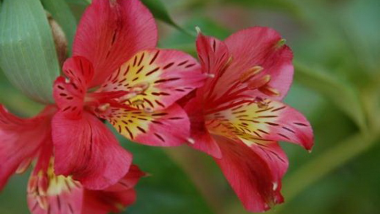 T'RUIH PA XƯL T'NGAY 26/9/2022