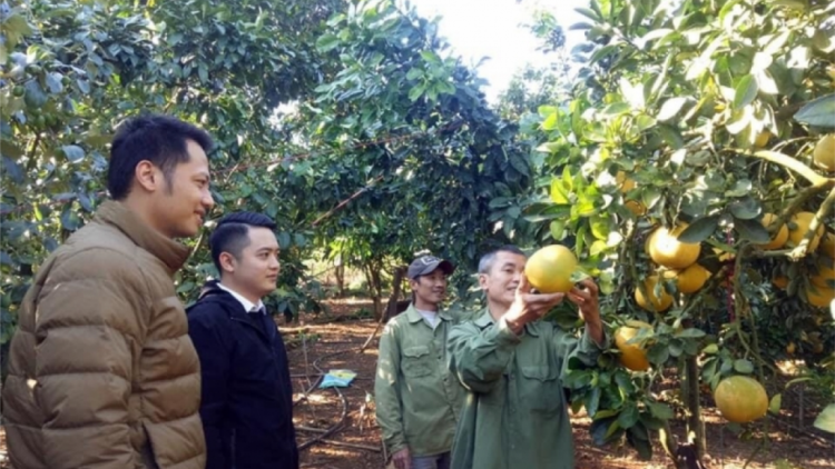 Bhrợ pa dưr ca van tơợ choh táo, pih bhung coh k’tiếc mốp