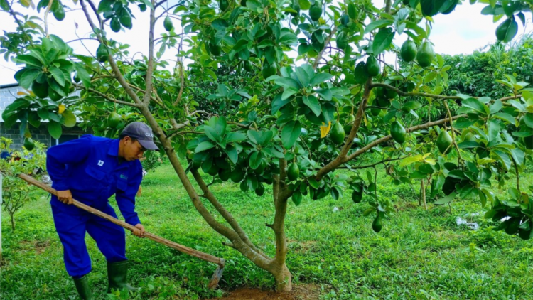 Đoàn viên pa dưr bh’nơơn zên vă ủy thác