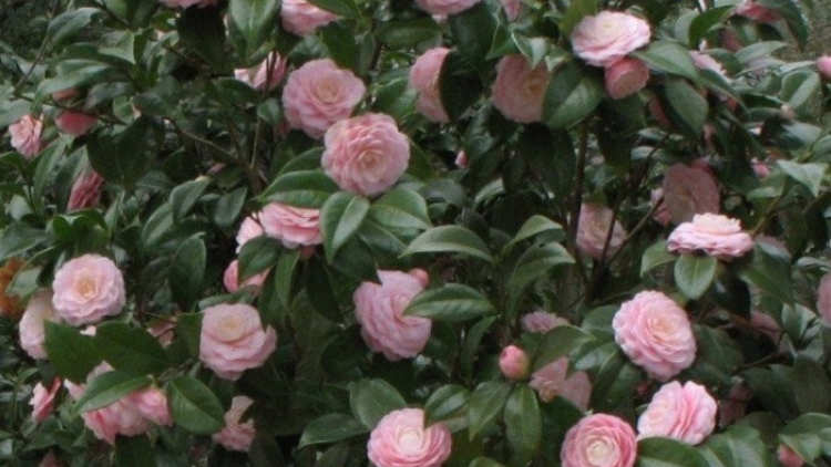 T'RUIH PA XUL T'NGAY 9-3-2022