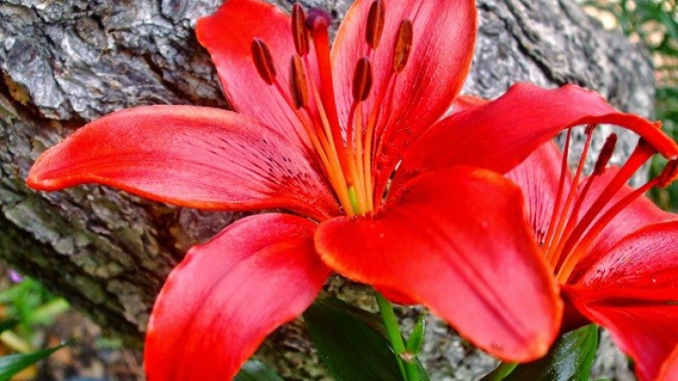 T'RUIH PA XUL T'NGAY 10-3-2022