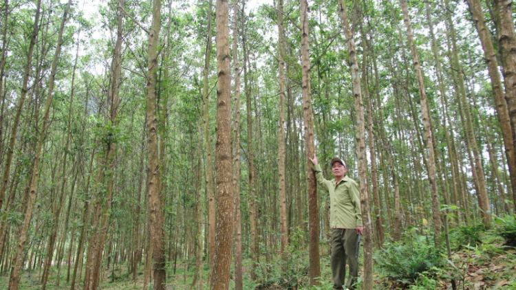 Choh crâng pay  bha lầng n’loong ga mắc zooi đhanuôr da ding ca coong Quảng Bình pa dưr pr’ặt tr’mông