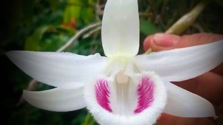 T'RUÍH PA XUL ZẤP T'NGAY 9/7/2019