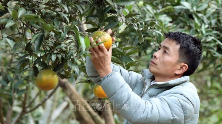 A noo Lò Văn Thơm tợơp dưr bhrợ coh bh’rợ đhanuôr pa dưr tr’mông tr’meh