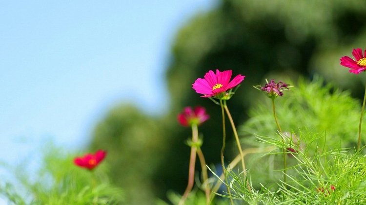 T'RUÍH PHÁT THANH T'NGAY 29-11