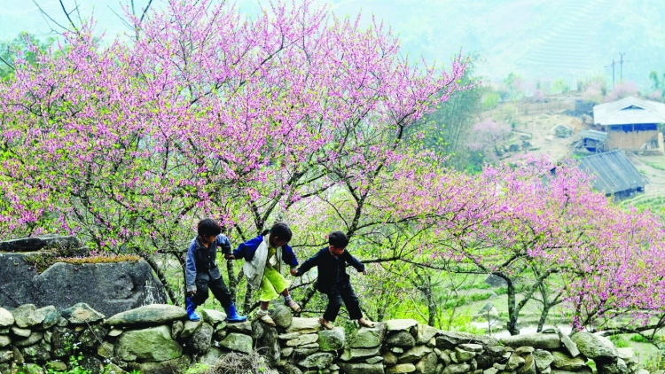 T'RUIH PHÁT THANH T'NGAY 05/02/2017