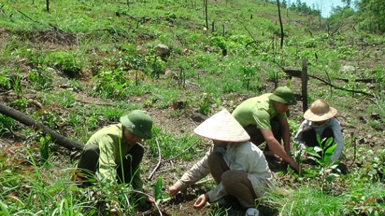 Đông Giang padưr paliêm bh’nơơn bh’rợ, chất lượng lâng chr’nắp âng crâng chóh
