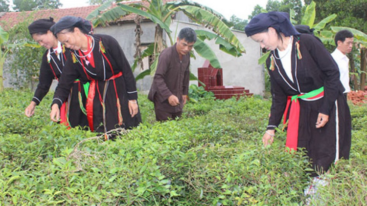 Bắc Cạn k’rang bhrợ têng đoọng ha zr’lụ đhanuôr acoon coh
