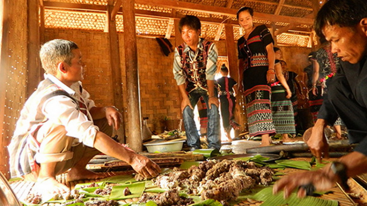 Bh’rợ chiêm cha niêm âng đha nuôr Cơ Tu: bh’rợ liêm coh da ding ca coong