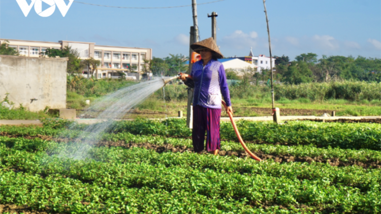 Bh’rợ tự bhrợ tự cha đợ ch’na đh’nắh âng đhanuôr Đà Nẵng