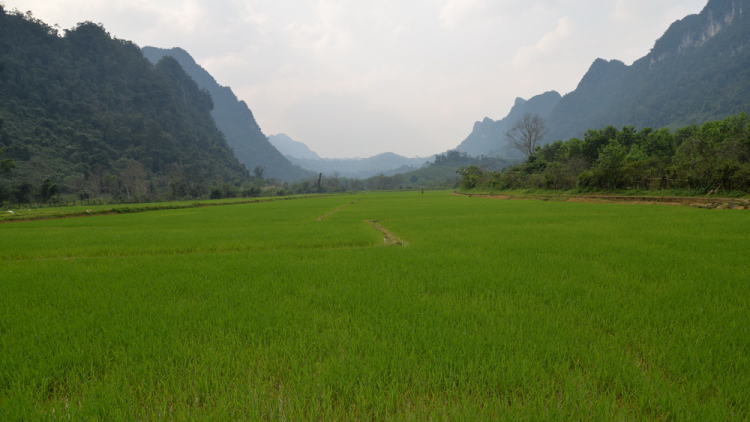 Tr’xăl coh vel đong âng đhanuôr Rục