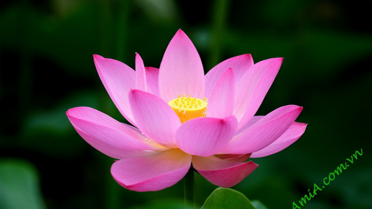 T'RUIH PA XUL T'NGAY3/8/2019