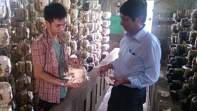 Padưr pa’xớc kinh tế tơợ bhiệc chóh tri zanươu