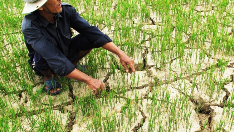 Phú Yên đhanuôr lưm zr’nắh tu p’răng xơơt lâng k’rịa lướt moót