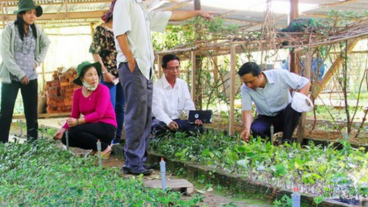 Hợp tác xã âng ma nứih Cơ Tu
