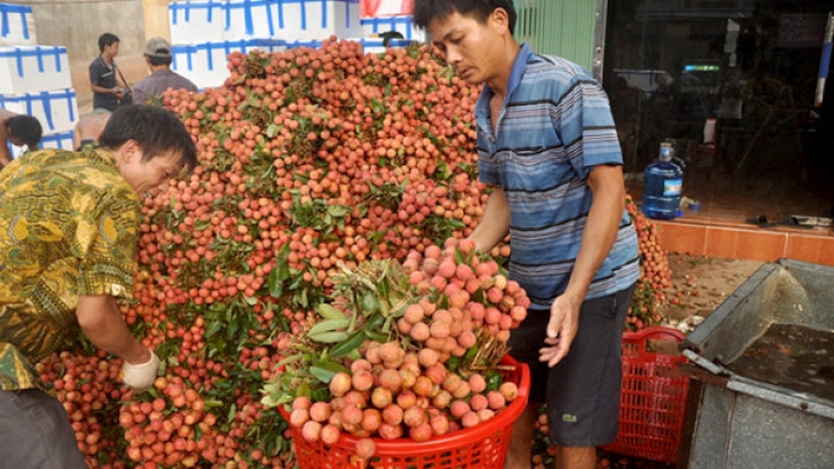 Bấc râu cắh âi liêm crêê đhị bh’rợ bhrợ pa dưr thương hiệu bh’nơơn bh’rợ yêm la lay cóh Việt Nam