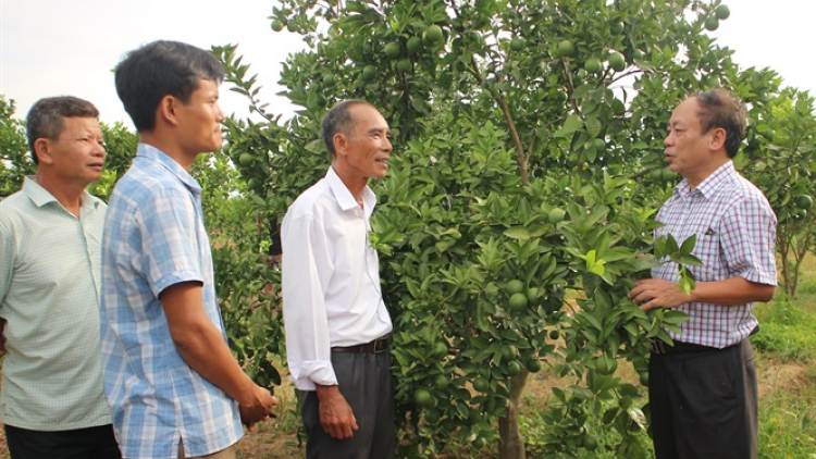 Pa dưr dal bh’nơơn xăl tơơm chr’nóh cóh k’tiếc bôl apêê tỉnh miền Trung