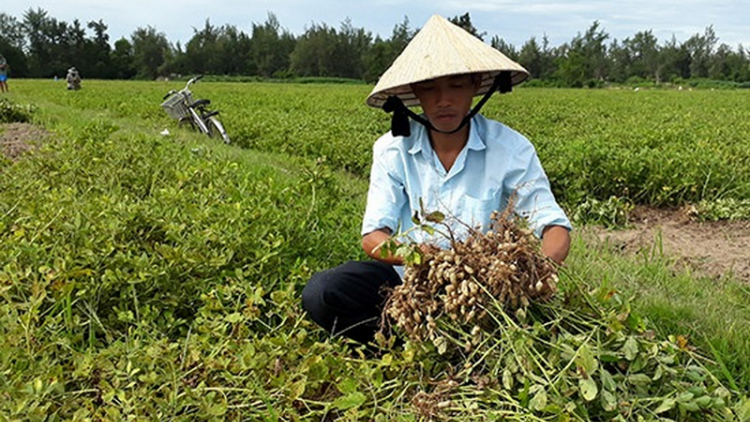 Quảng Nam lêy cha’mêết tr’xăl tơơm chr’nóh zêl cha’groong lâng p’răng xơớt