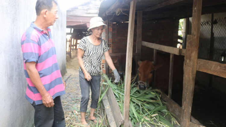 Đắk Lắk: Bhrợ t’váih quỹ zooi đoọng Cựu đha dhdâm c’mâr xung phong lum zr’nắh k’đháp