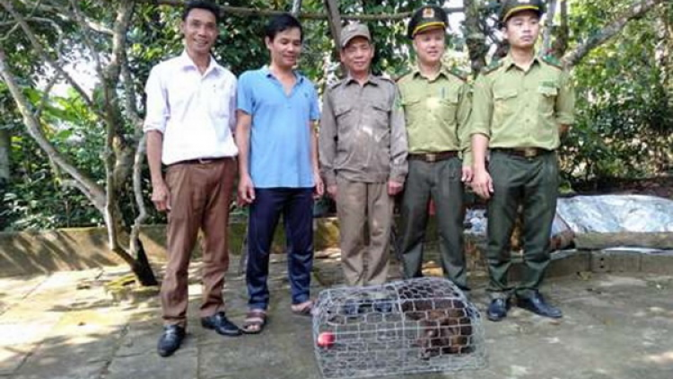Quảng Bình: Đhanuôr pazao đoọng bhọt mặt bhrôông chr’nắp pr’hắt