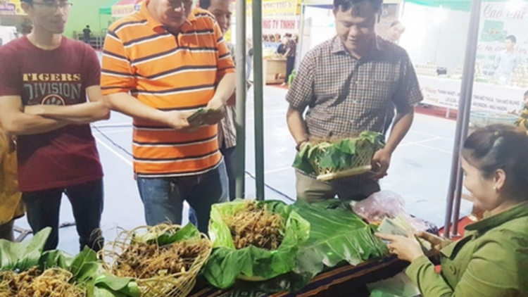 Vel bhươl tỷ phú âng manứih Xê Đăng cóh da ding Ngọc Linh