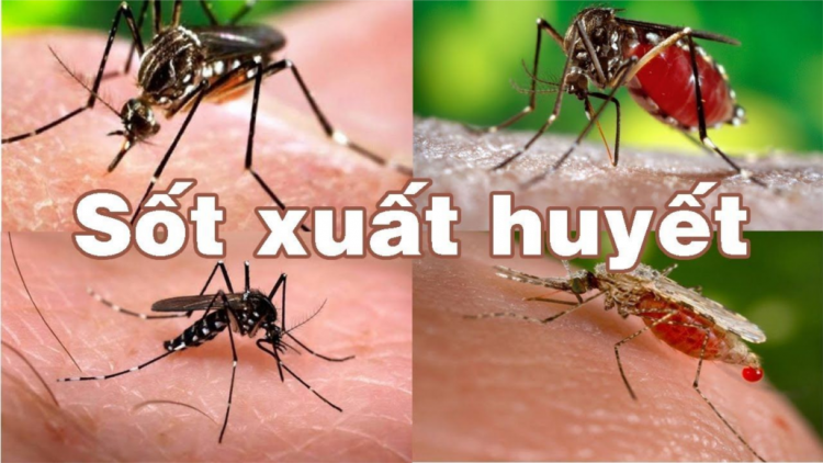 Muy cha nắc manuýh k’ăy lấh chêết bil tu k’hiir plóh aham