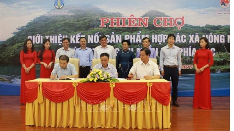 Pa dưr dal bh’nơơn bh’rợ âng apêê hợp tác xã chr’nóh chr’bệêt, bh’năn băn