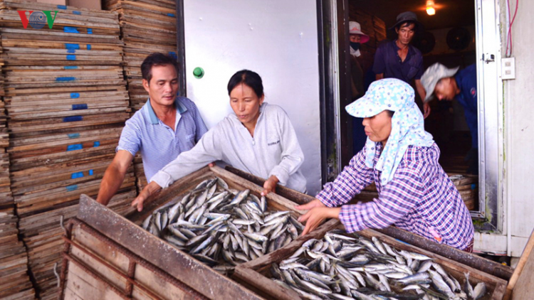 Quảng Trị: Lấh 1 r’bhầu tấn a xiu goó đơơng pa câl đoọng ha k’tiếc k’ruung ha dợ căh choom pa câl