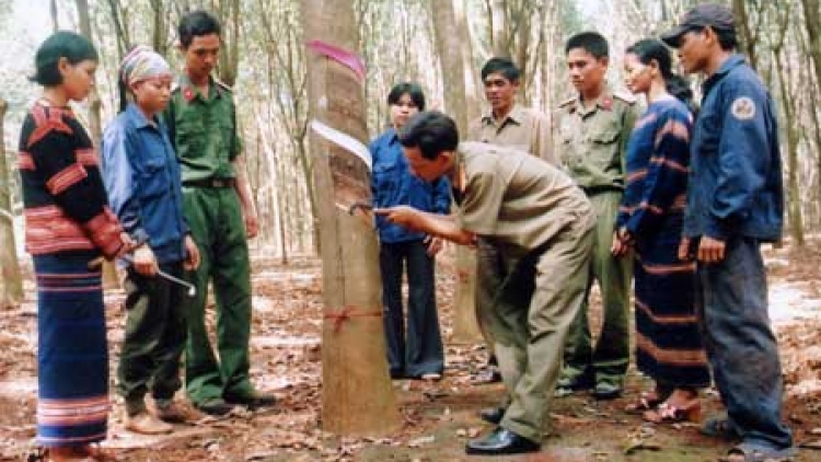 Zâp hội đoàn thể lướt đh’rứah lâng manứih đha’rứt cóh Nam Trà My