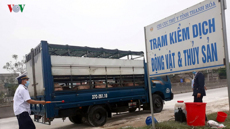 Thanh Hoá: Pr’lúh pa zrúah a óc châu phi dưr váih cóh pazêng 27/27 chr’hoong, thị xã, thành phố