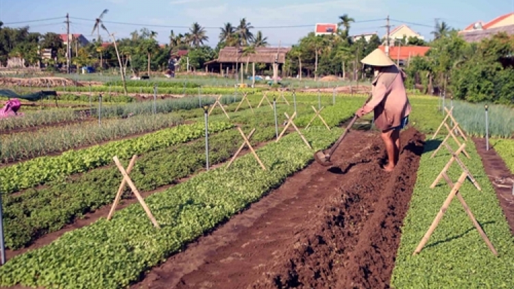 Xăl t’nơơm chr’noh đhị Đại Lộc: Bh’nơơn âng chô xoọc tợơp