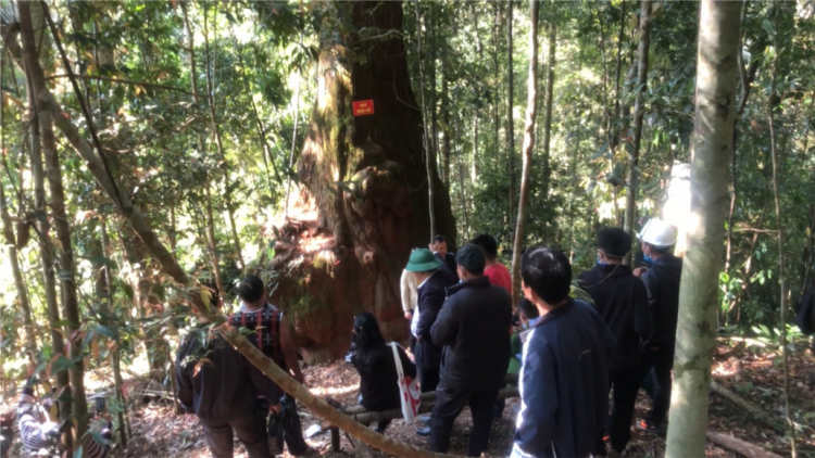 Tây Giang bhrợ bhiệc bhan bhuôih crâng