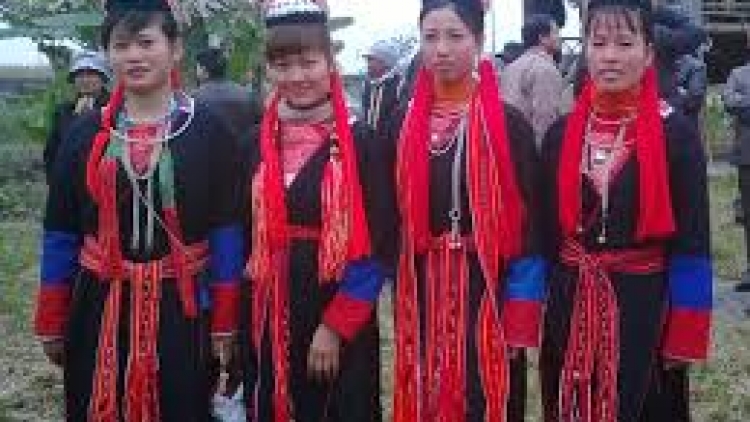 Lầy tzình khzáng ca páo dung thứ 3 hoi 16/6/2015