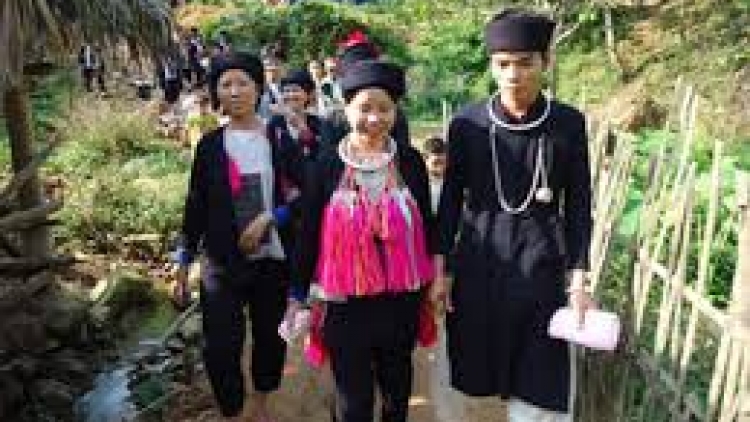 Coz phính miền VN nhây lầy tzình páo dung thứ 6 hoi 3/7/2015