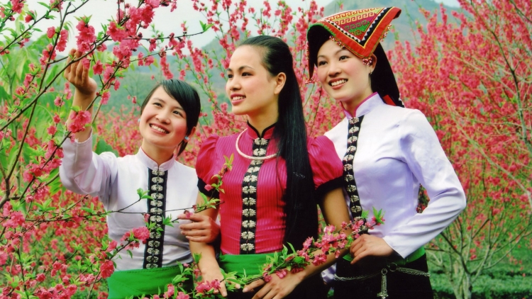 Lầy tzình thzáng ca páo dung thứ 3 hoi 22/11/2016