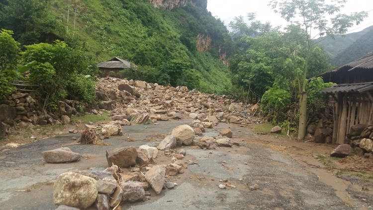 Phai paz nhây phiến