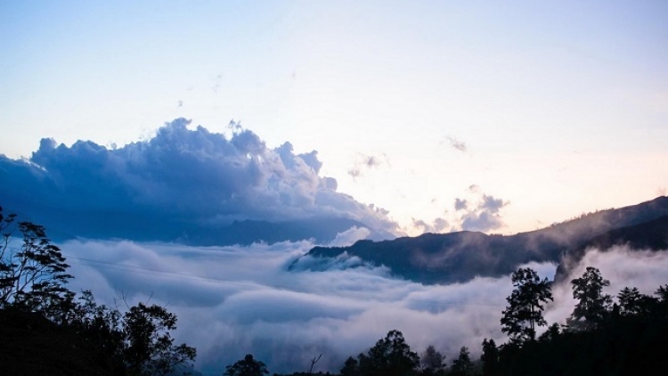 Phai paz nhây phiến