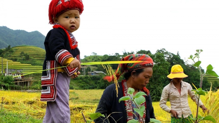 Lầy tzình phát sinh ừu miền vả thứ 4 hoi 4/1/2017