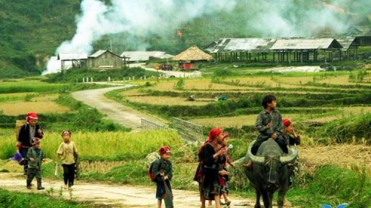 Phai paz nhây phiến